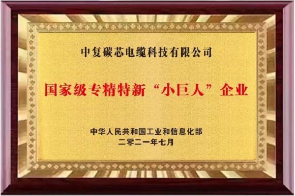 3、国家级专精特新“小巨人”企业.jpg